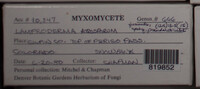 Image Associated With the Occurence